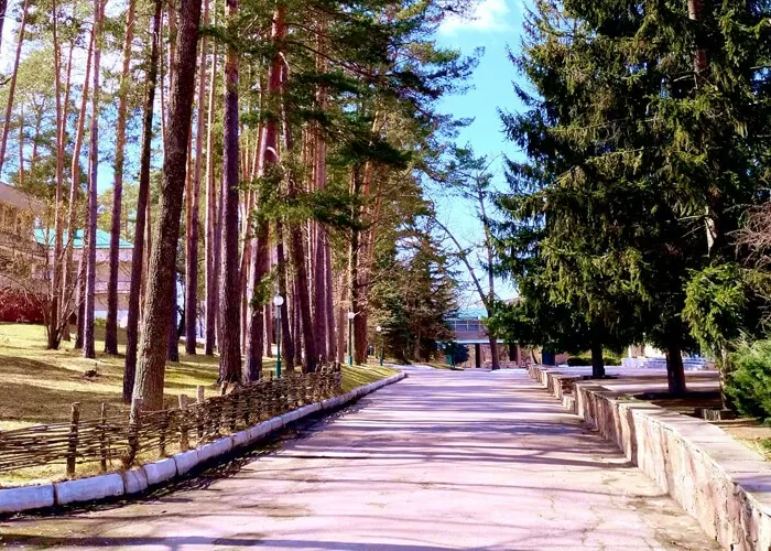 Санаторій «Дениші» Дениші, Житомирська область