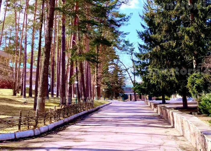Санаторій «Дениші» Дениші, Житомирська область