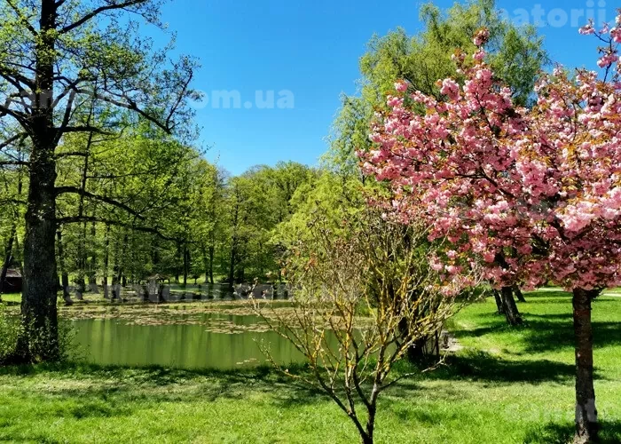 Санаторій «Перлина Карпат» Закарпатська область