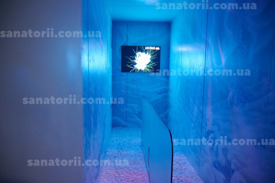 Готель «Crona SPA» Східниця
